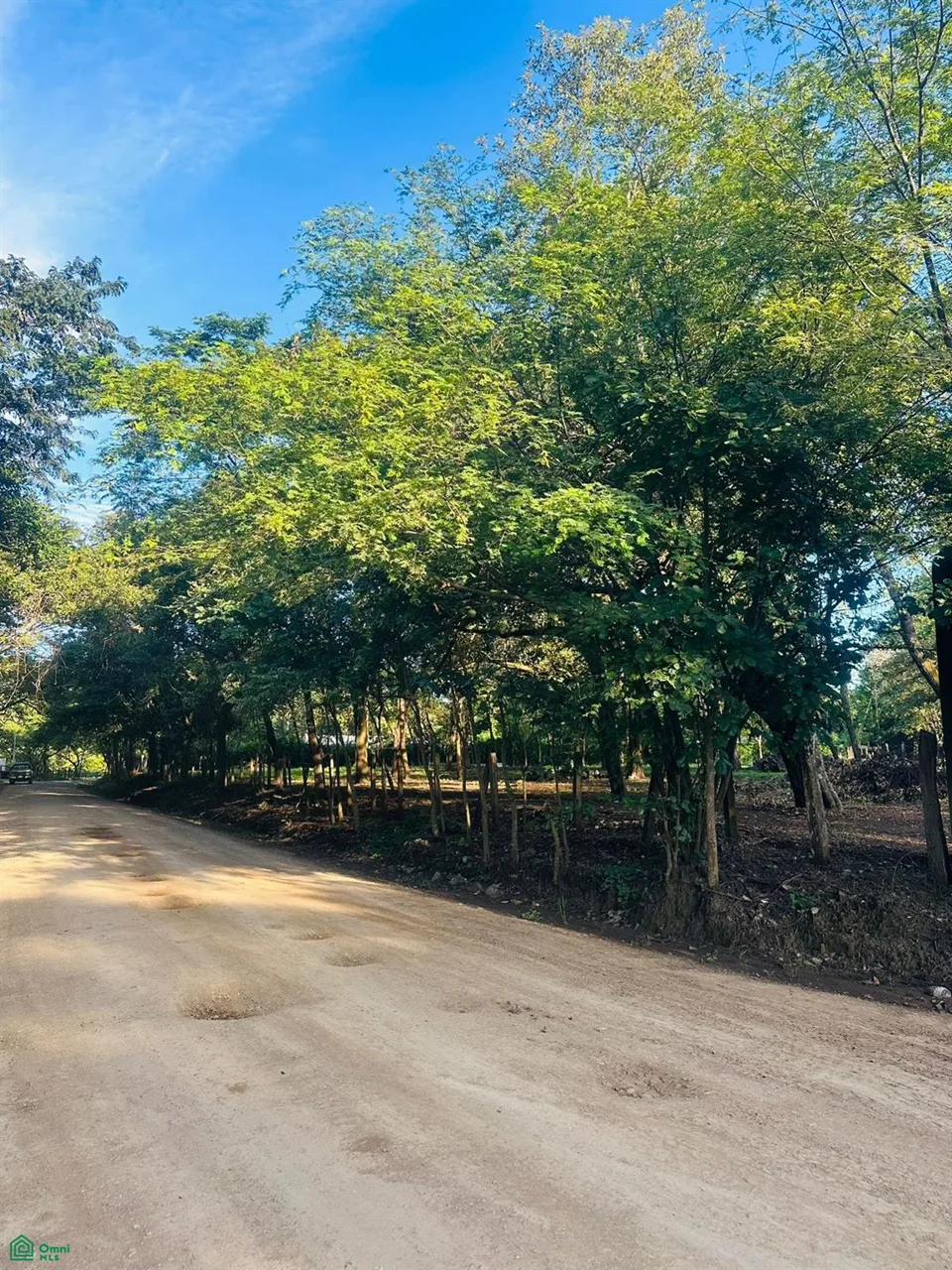 Linderos Finca Panama Tamarindo Guanacaste, photo 2