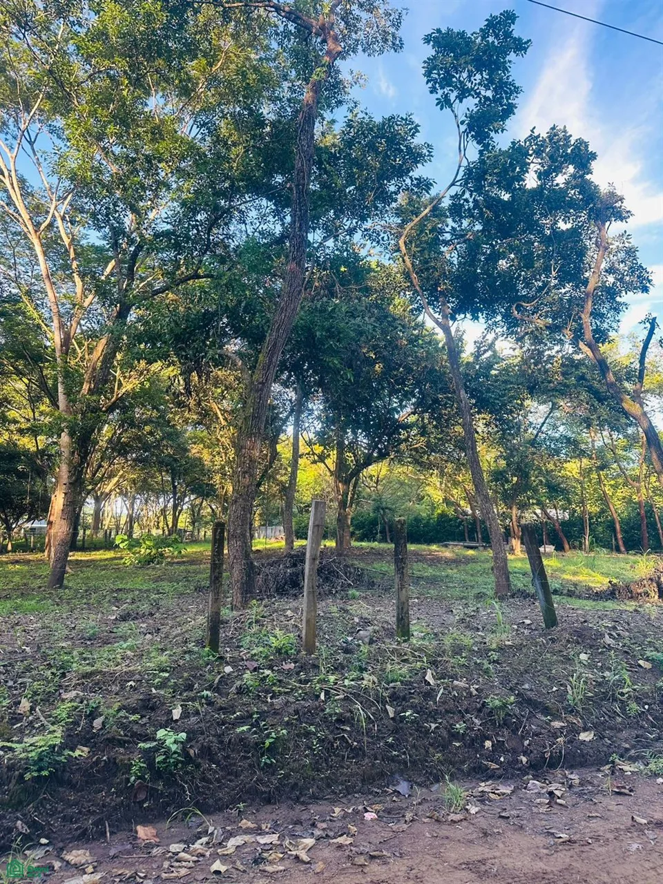 Linderos Finca Panama Tamarindo Guanacaste, photo 4
