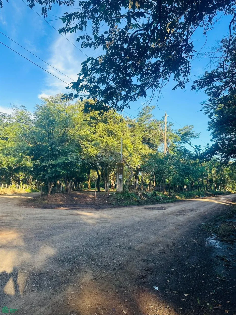 Linderos Finca Panama Tamarindo Guanacaste, photo 5