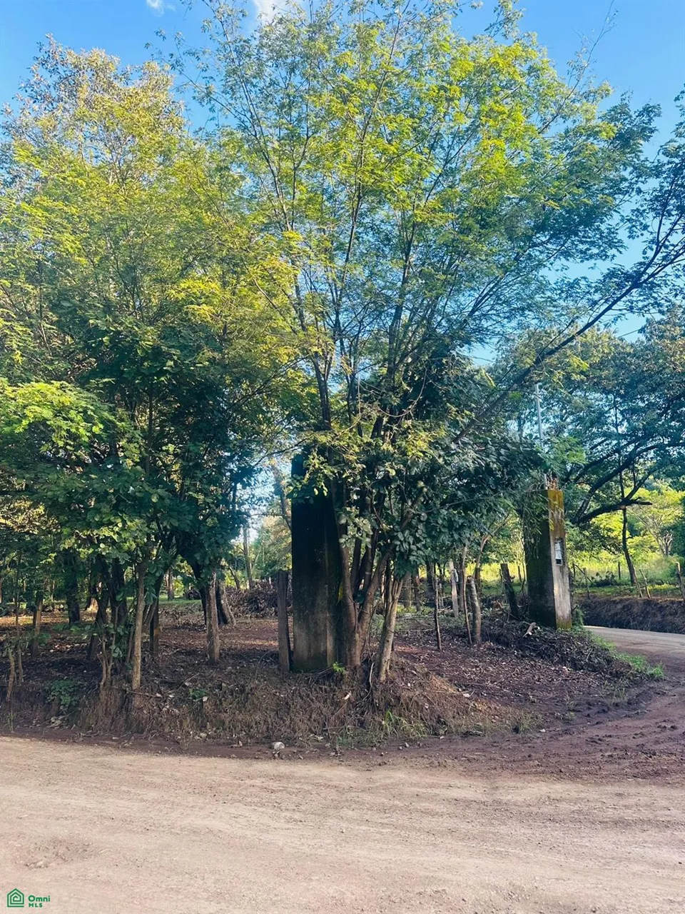 Linderos Finca Panama Tamarindo Guanacaste, photo 6