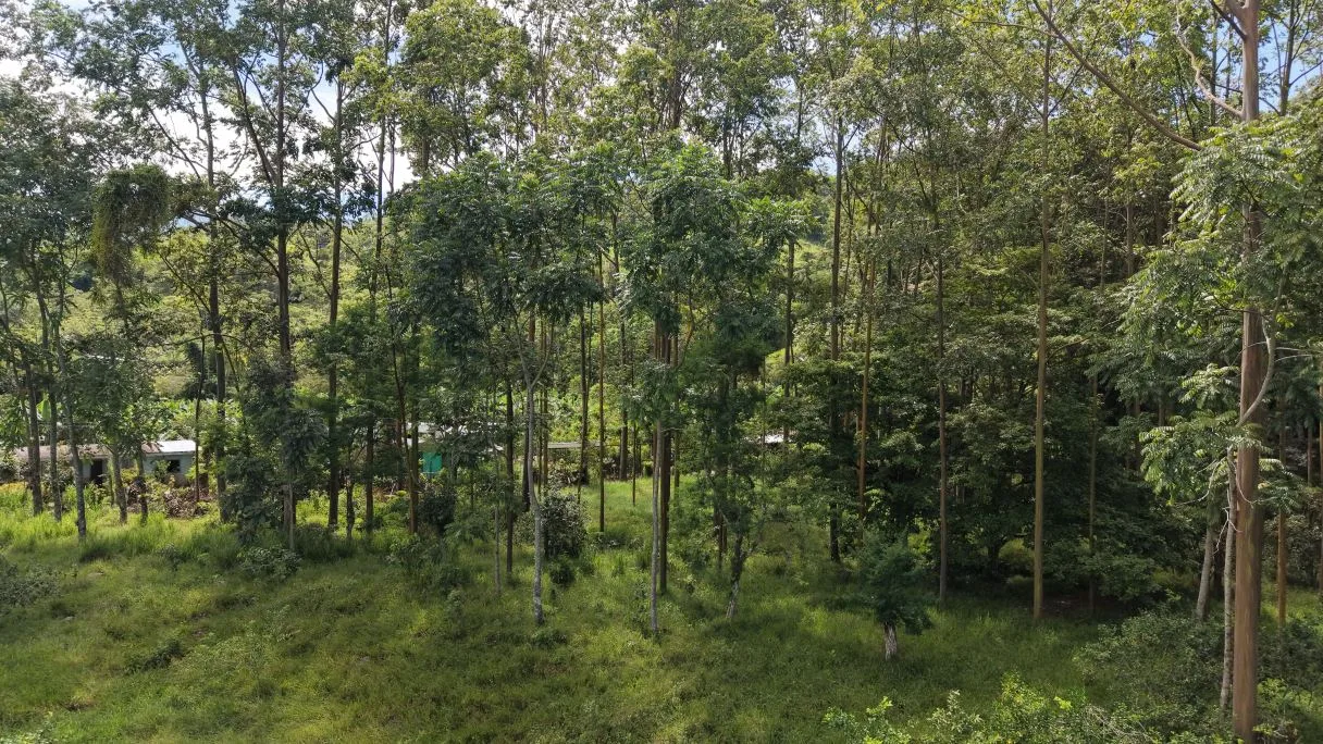 Land for Sale in San Francisco de Rivas: 5.5-Acre Mountain View Parcel with Natural Stream H5