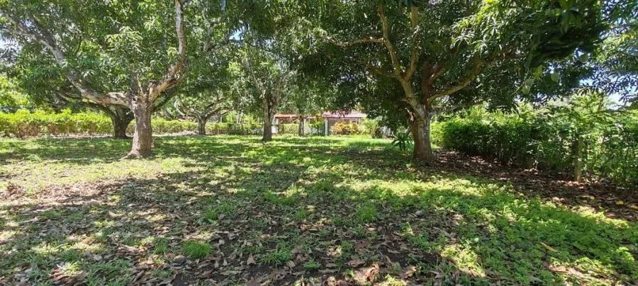 MLS-26-756 LS VENTA LOTE OROTINA ALAJUELA  - Venta en Orotina