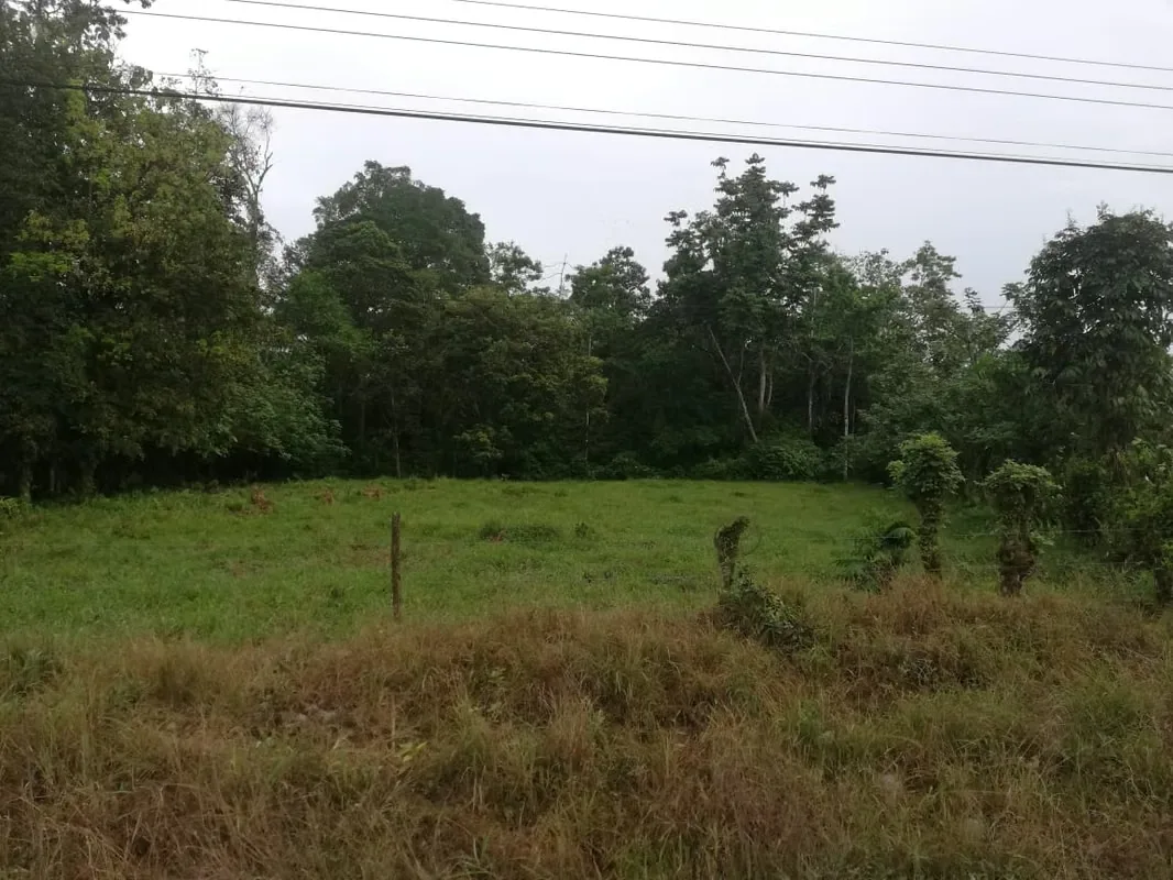 MA Asesorías Vende preciosa Finca ubicada en el Distrito Roxana, del Cantón de Pococí en Limón.