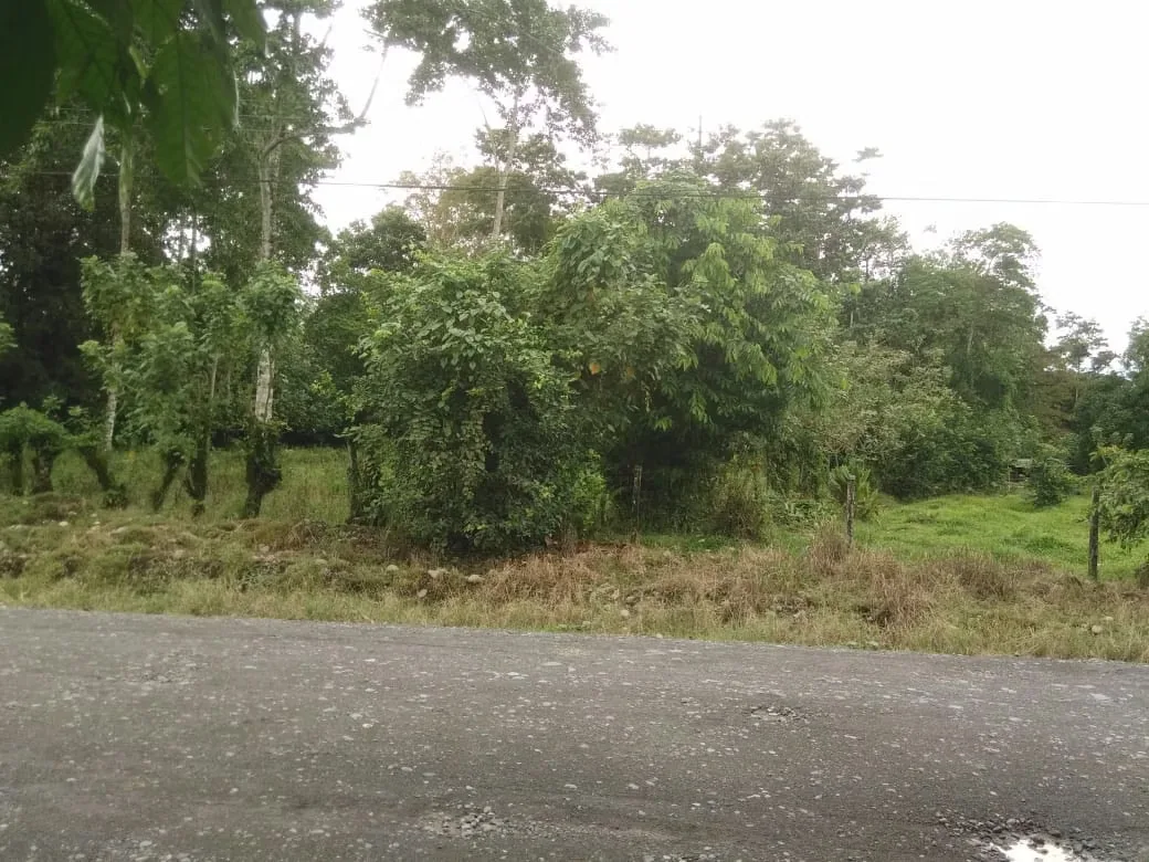 MA Asesorías Vende preciosa Finca ubicada en el Distrito Roxana, del Cantón de Pococí en Limón., photo 4