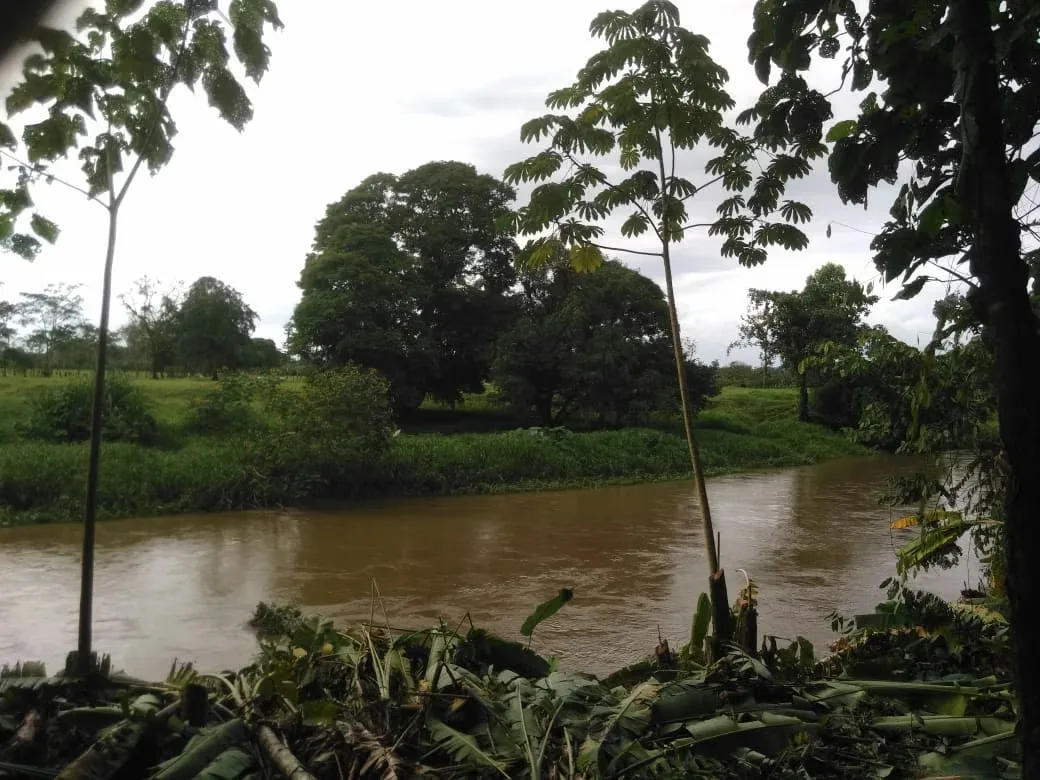MA Asesorías Vende preciosa Finca ubicada en el Distrito Roxana, del Cantón de Pococí en Limón., photo 10
