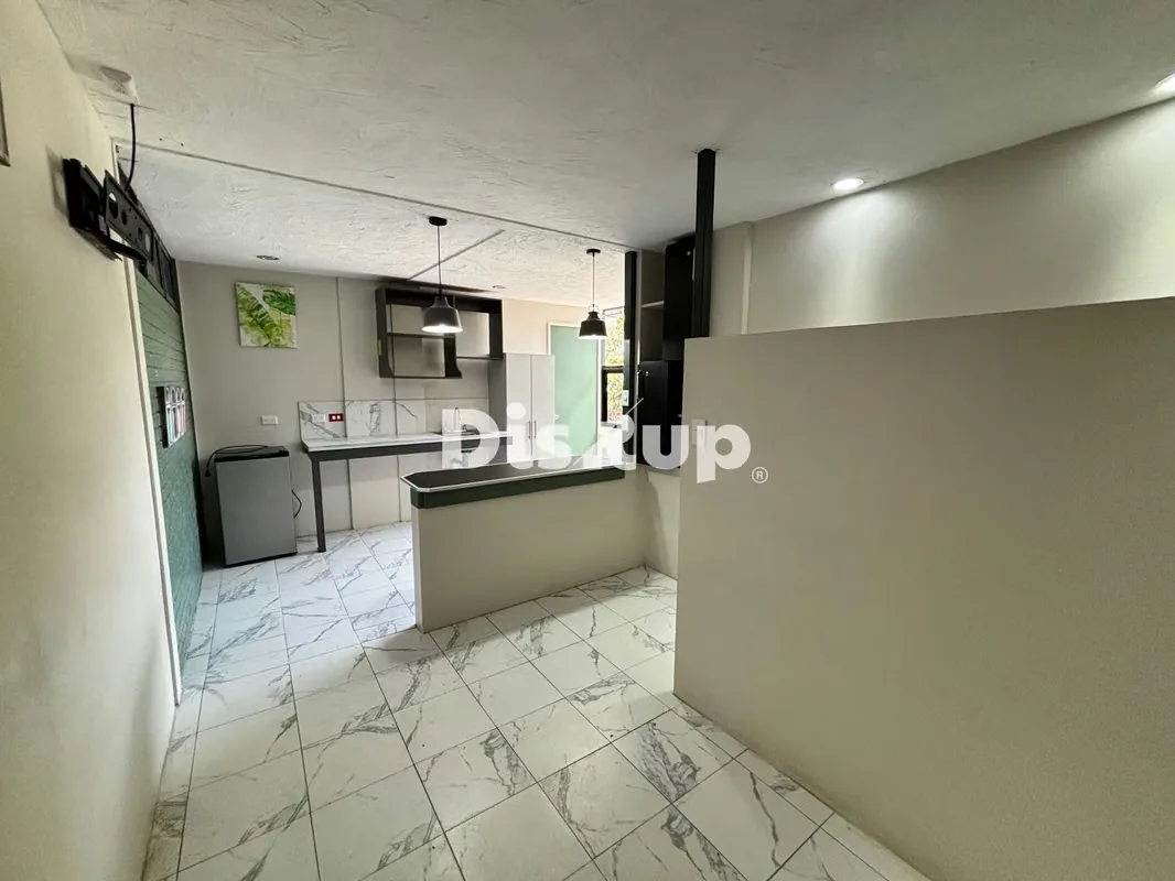 Studio apartments for rent in Barrio Dent, San Pedro, Montes de Oca, photo 4
