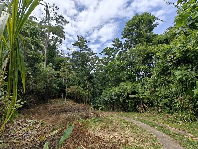ID 708: Lot 3 - 5377 sqm Mountain Edge Sanctuary, photo 2