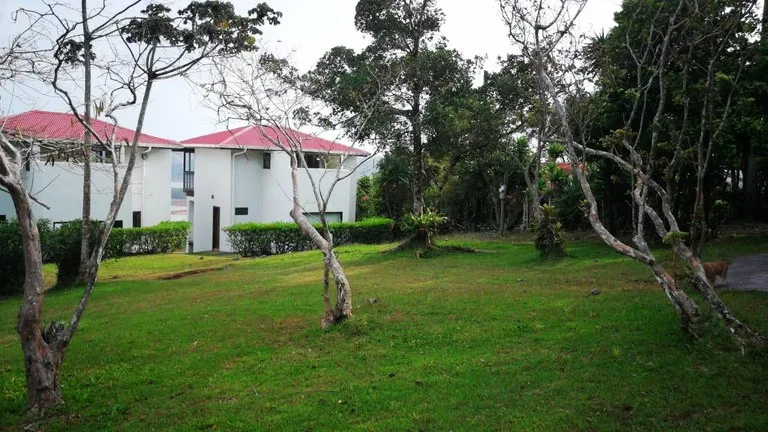 CASA VIENTO: Heaven on Earth - potential B&B or vacation rental, photo 11