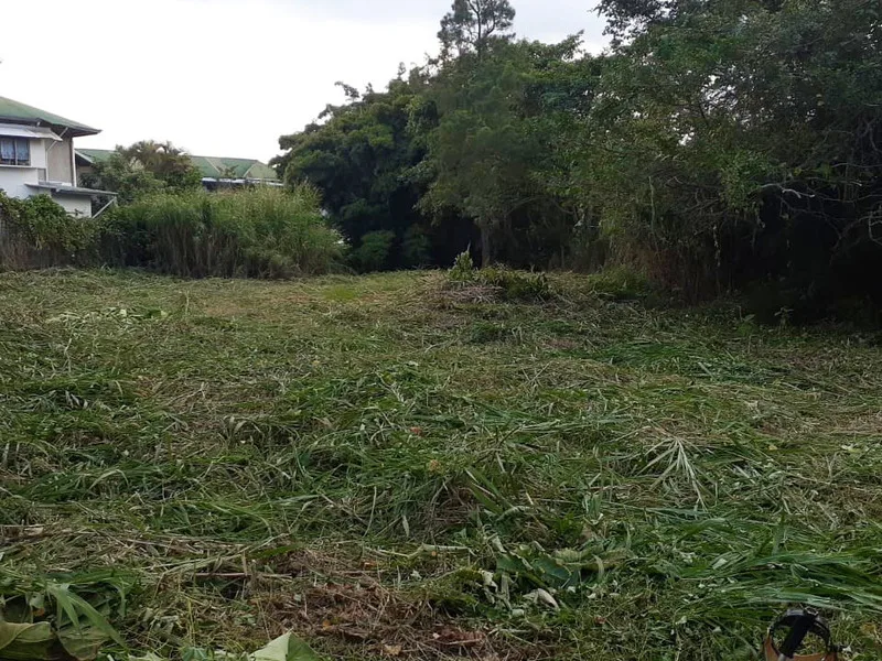 Land For Sale in Montes de Oca, photo 2
