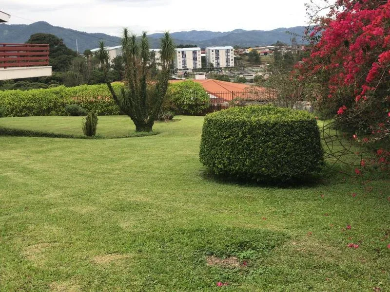8 Bed Single Family Homes For Sale in San Pedro, photo 2