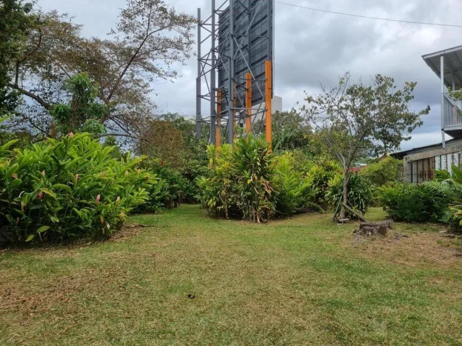 Venta de lote de 6300 m2 en Zapote centro Oportunidad Mga - Venta en Zapote, photo 4
