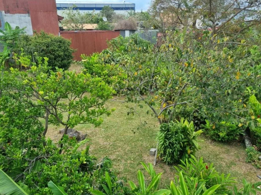 Venta de lote de 6300 m2 en Zapote centro Oportunidad Mga - Venta en Zapote, photo 7