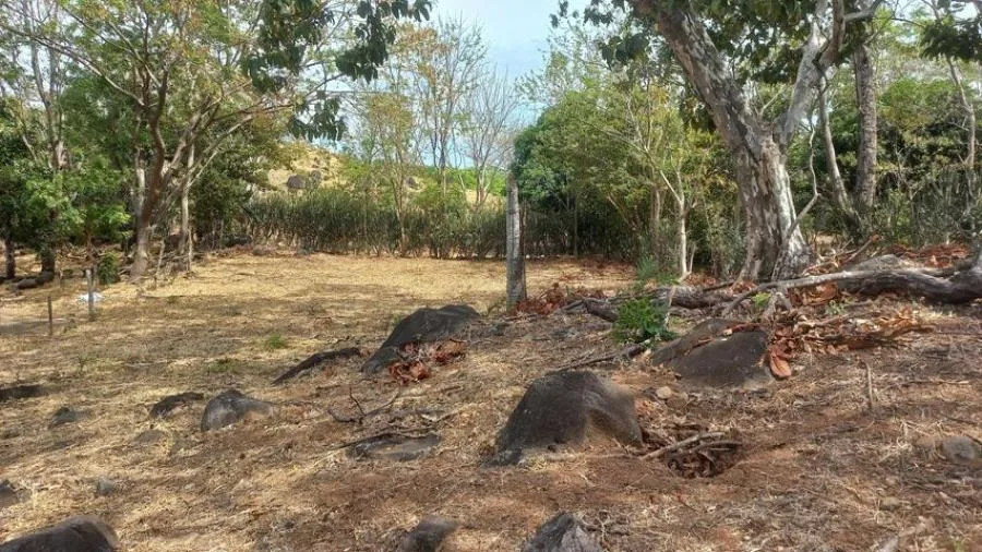 Venta de lote de 6300 m2 en Zapote centro Oportunidad Mga - Venta en Zapote, photo 9