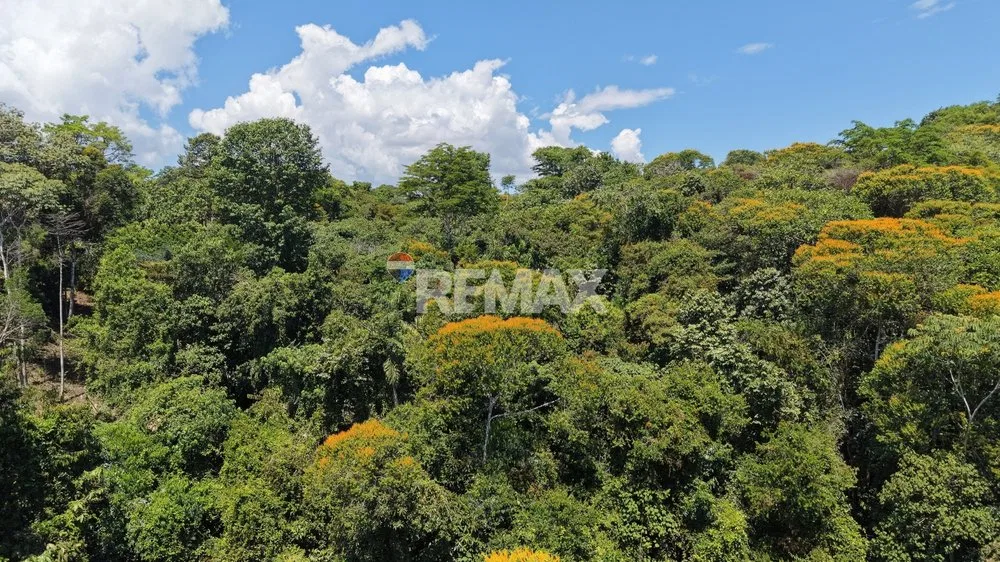 LOTE DE 1 HECTÁREA CON BOSQUE PRIVADO EN LAS MERCEDES DE CAJÓN, PÉREZ ZELEDÓN - Venta en Pérez Zeledón, photo 2