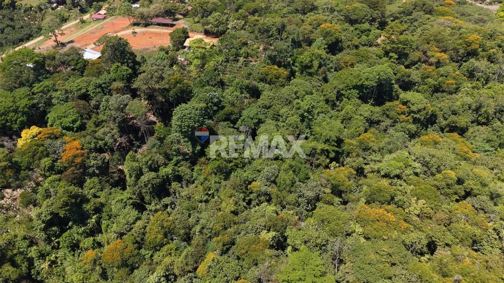LOTE DE 1 HECTÁREA CON BOSQUE PRIVADO EN LAS MERCEDES DE CAJÓN, PÉREZ ZELEDÓN - Venta en Pérez Zeledón, photo 3