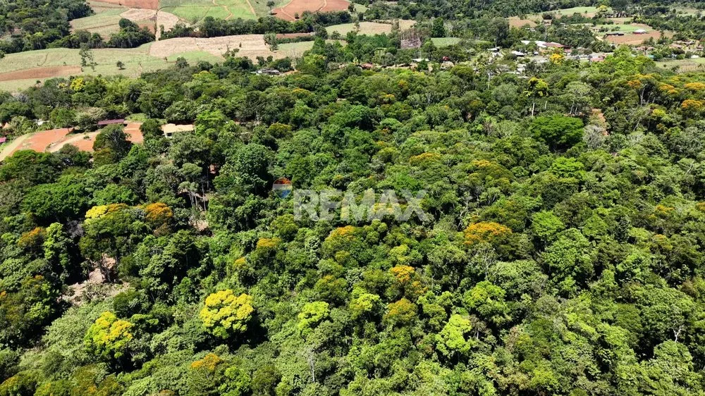 LOTE DE 1 HECTÁREA CON BOSQUE PRIVADO EN LAS MERCEDES DE CAJÓN, PÉREZ ZELEDÓN - Venta en Pérez Zeledón, photo 4