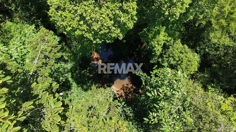 LOTE DE 1 HECTÁREA CON BOSQUE PRIVADO EN LAS MERCEDES DE CAJÓN, PÉREZ ZELEDÓN - Venta en Pérez Zeledón, photo 5
