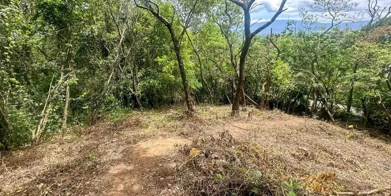 Terreno en Venta en Exclusivo Residencial, Brasil de Mora, photo 5