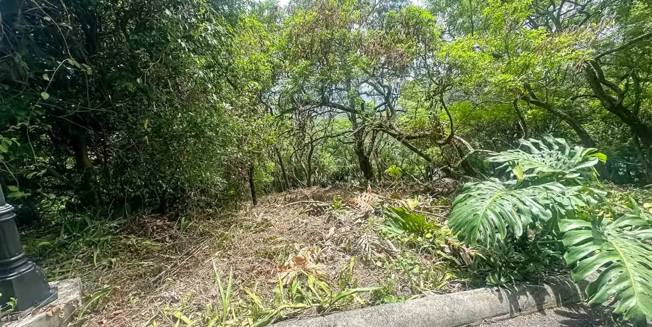 Terreno en Venta en Exclusivo Residencial, Brasil de Mora, photo 7