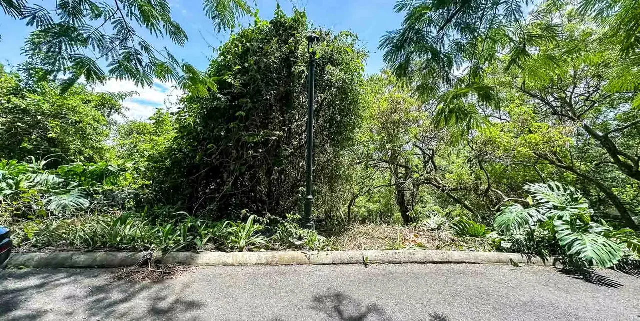 Terreno en Venta en Exclusivo Residencial, Brasil de Mora, photo 8