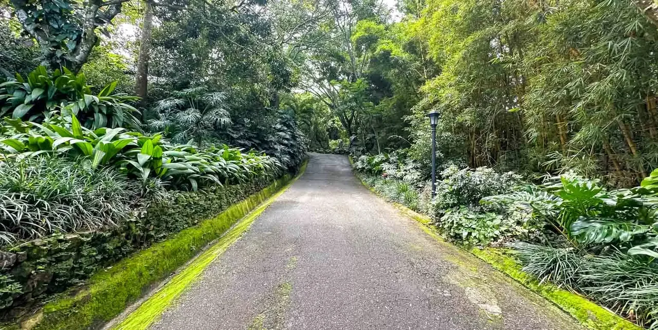 Terreno en Venta en Exclusivo Residencial, Brasil de Mora, photo 10
