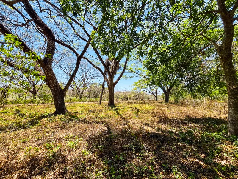 Land For Sale in Playa San Miguel