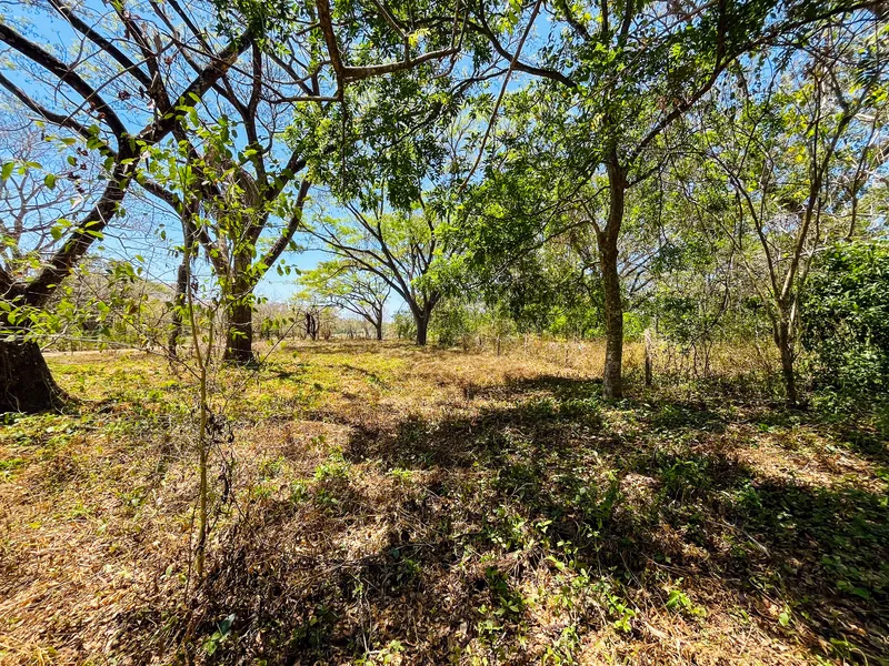 Land For Sale in Playa San Miguel, photo 2