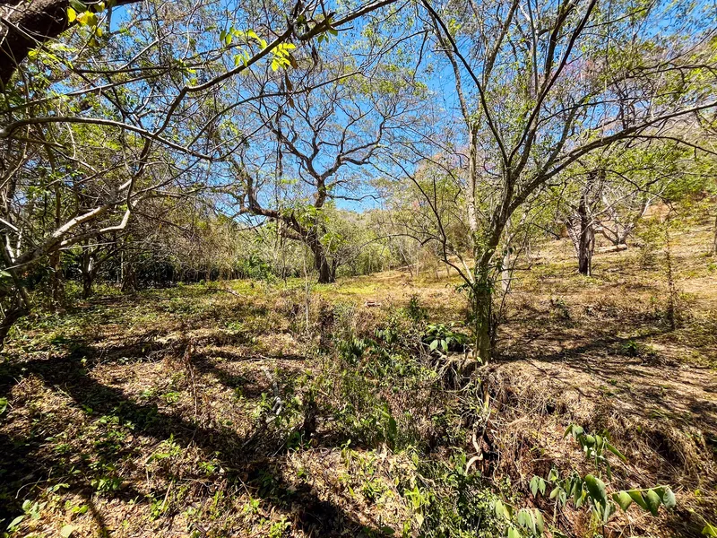 Land For Sale in Playa San Miguel, photo 3