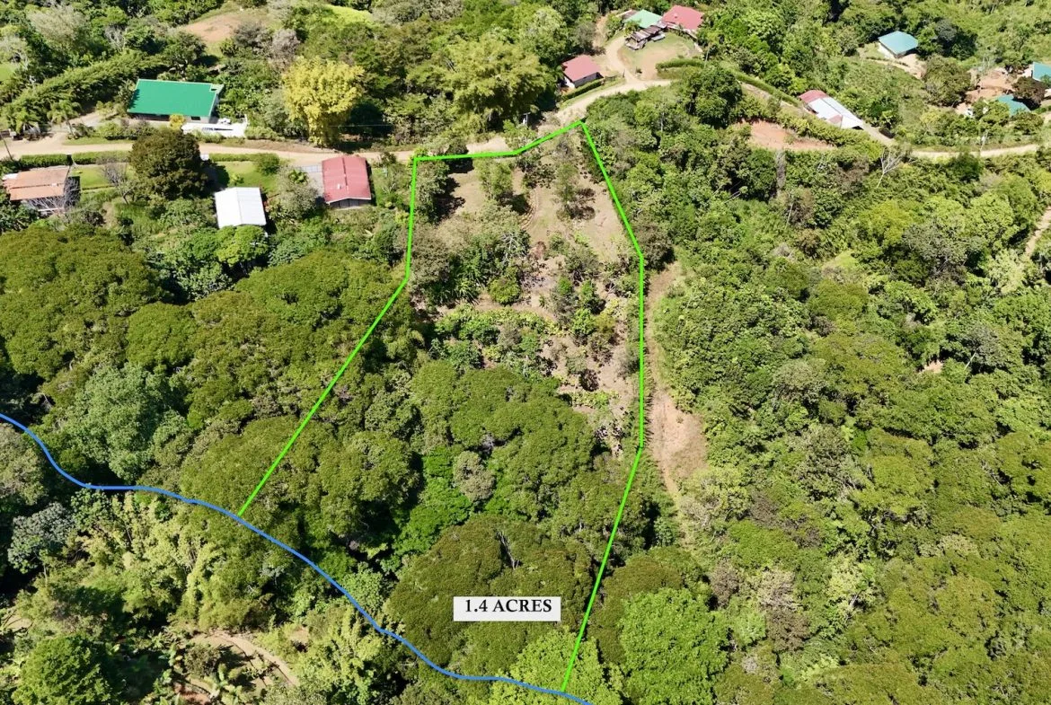 BUILDING PROPERTY WITH MOUNTAIN VIEWS, IN PLATANILLO – 1.34 ACRES, photo 2