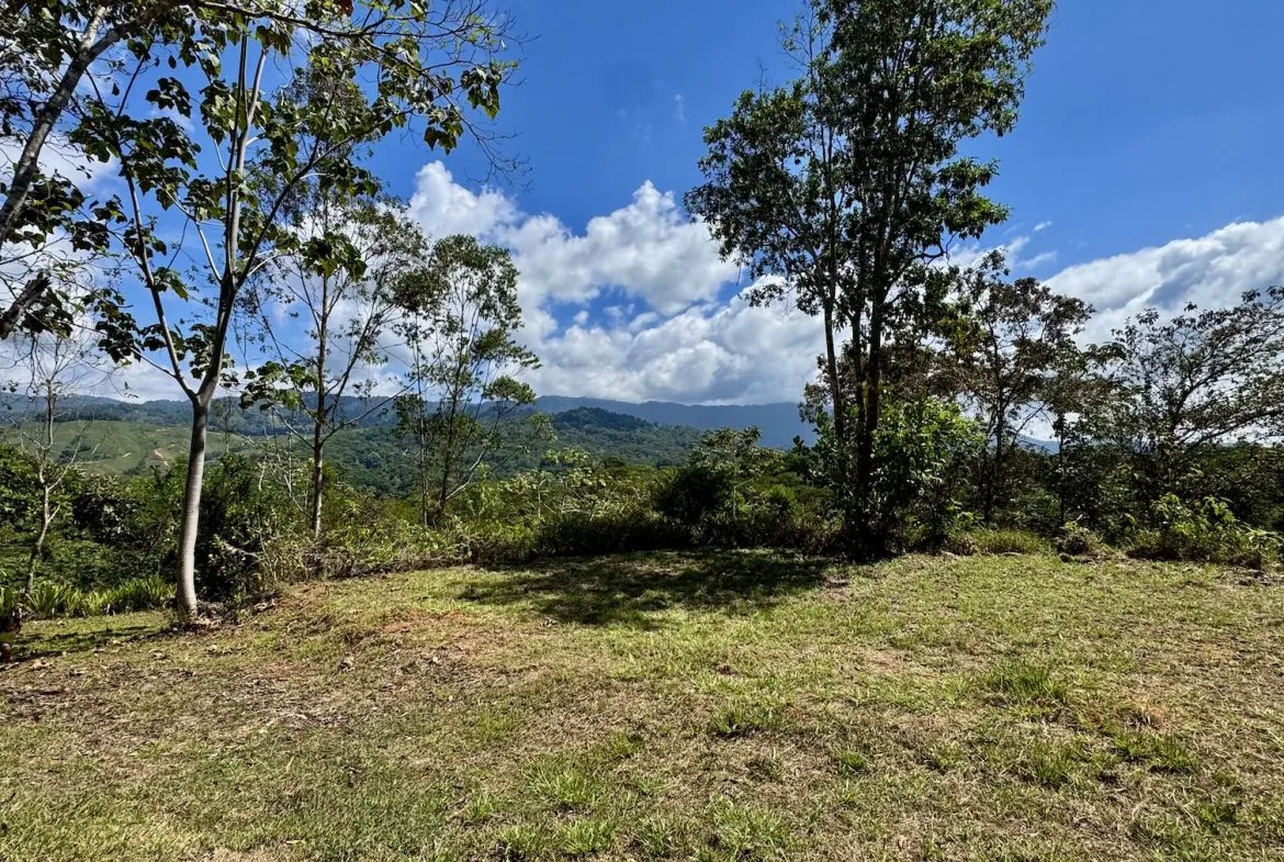 BUILDING PROPERTY WITH MOUNTAIN VIEWS, IN PLATANILLO – 1.34 ACRES, photo 12