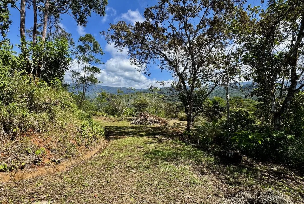 BUILDING PROPERTY WITH MOUNTAIN VIEWS, IN PLATANILLO – 1.34 ACRES, photo 14