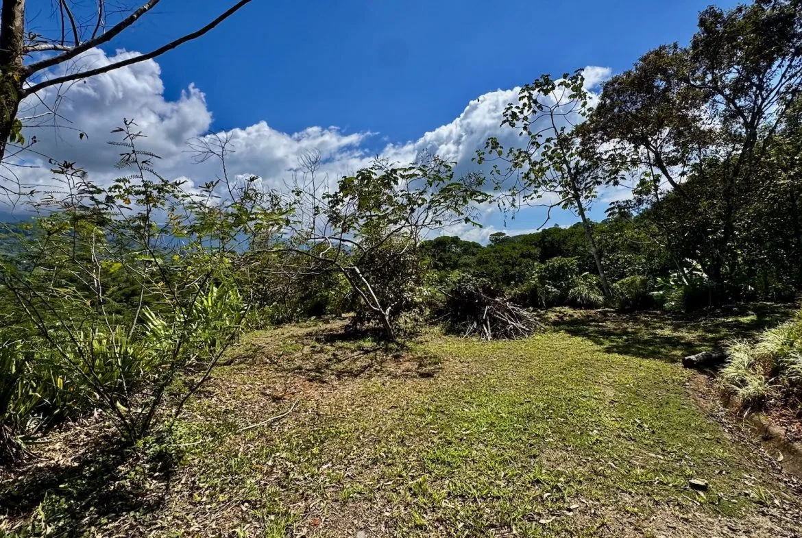 BUILDING PROPERTY WITH MOUNTAIN VIEWS, IN PLATANILLO – 1.34 ACRES, photo 16