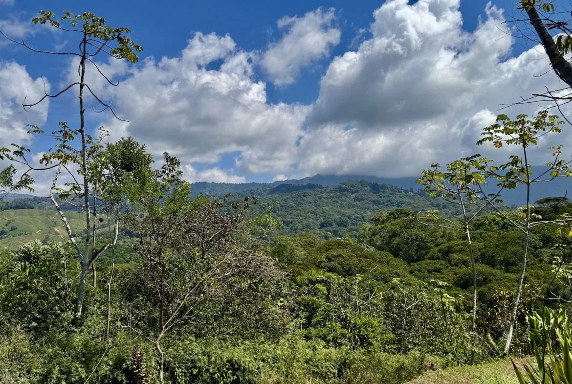 BUILDING PROPERTY WITH MOUNTAIN VIEWS, IN PLATANILLO – 1.34 ACRES, photo 18