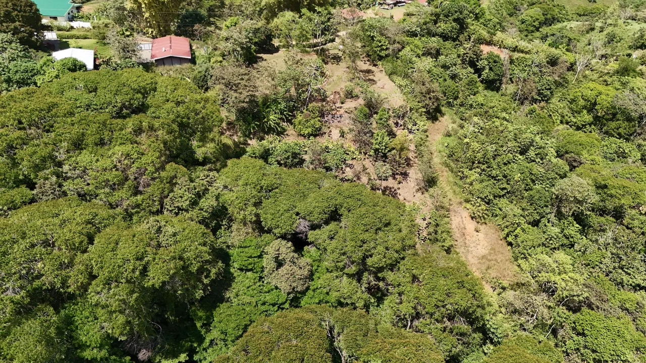 BUILDING PROPERTY WITH MOUNTAIN VIEWS, IN PLATANILLO – 1.34 ACRES, photo 19