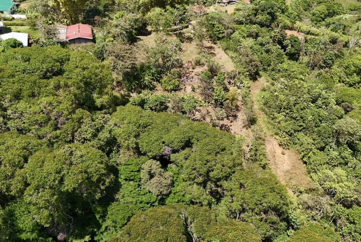 BUILDING PROPERTY WITH MOUNTAIN VIEWS, IN PLATANILLO – 1.34 ACRES, photo 20