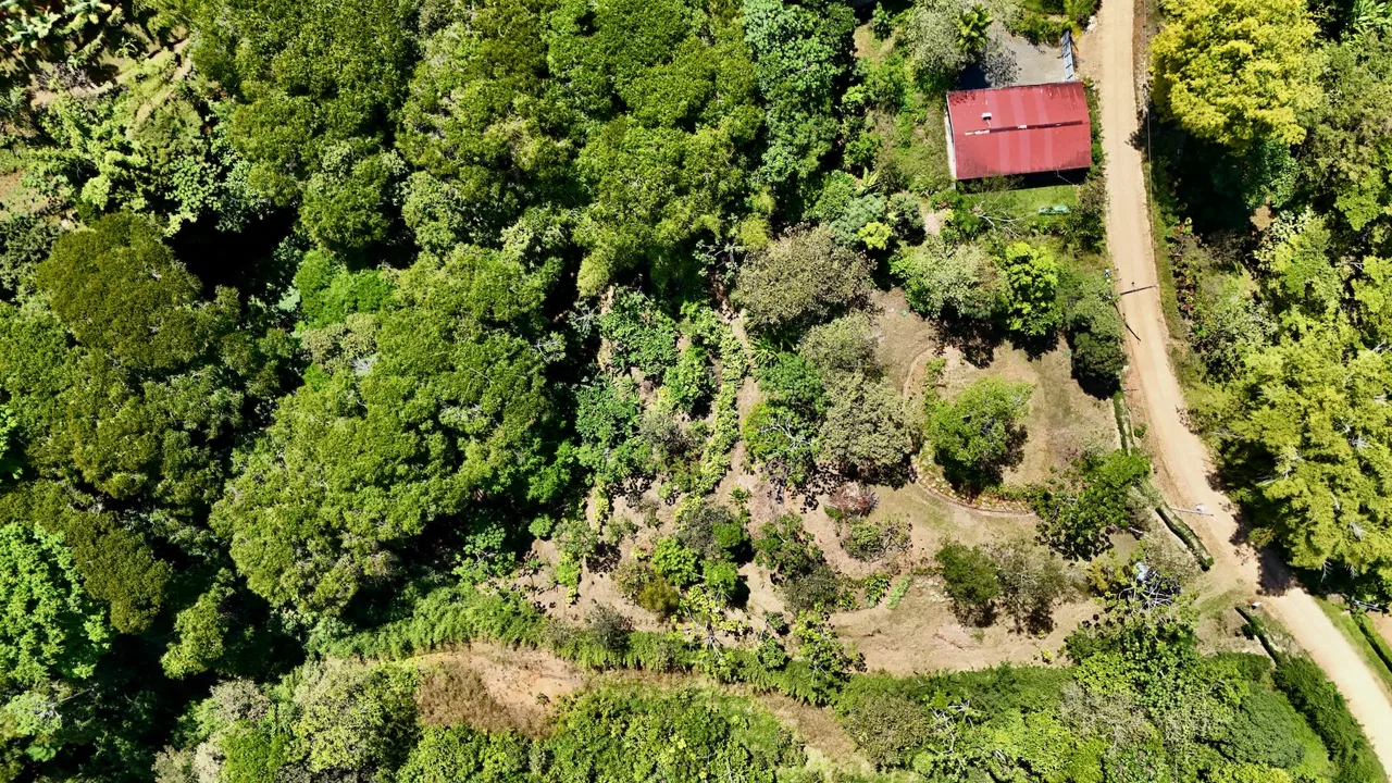 BUILDING PROPERTY WITH MOUNTAIN VIEWS, IN PLATANILLO – 1.34 ACRES, photo 3