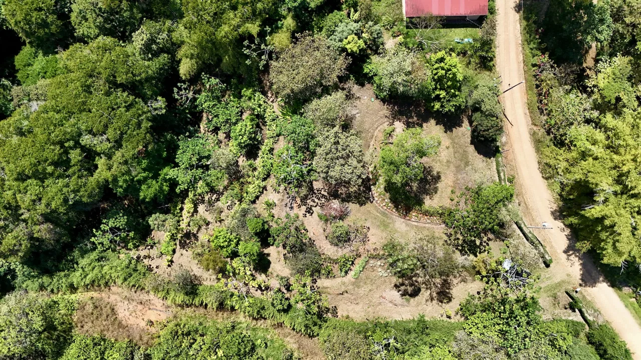 BUILDING PROPERTY WITH MOUNTAIN VIEWS, IN PLATANILLO – 1.34 ACRES, photo 21
