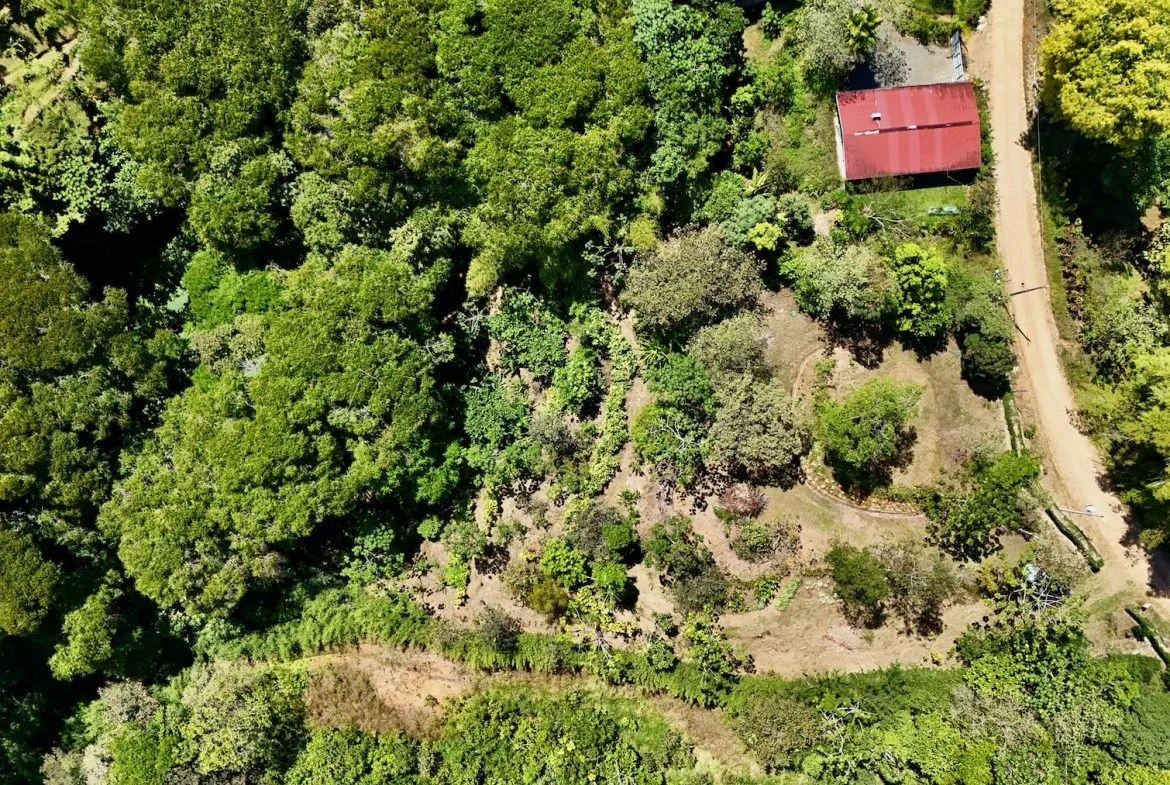 BUILDING PROPERTY WITH MOUNTAIN VIEWS, IN PLATANILLO – 1.34 ACRES, photo 4