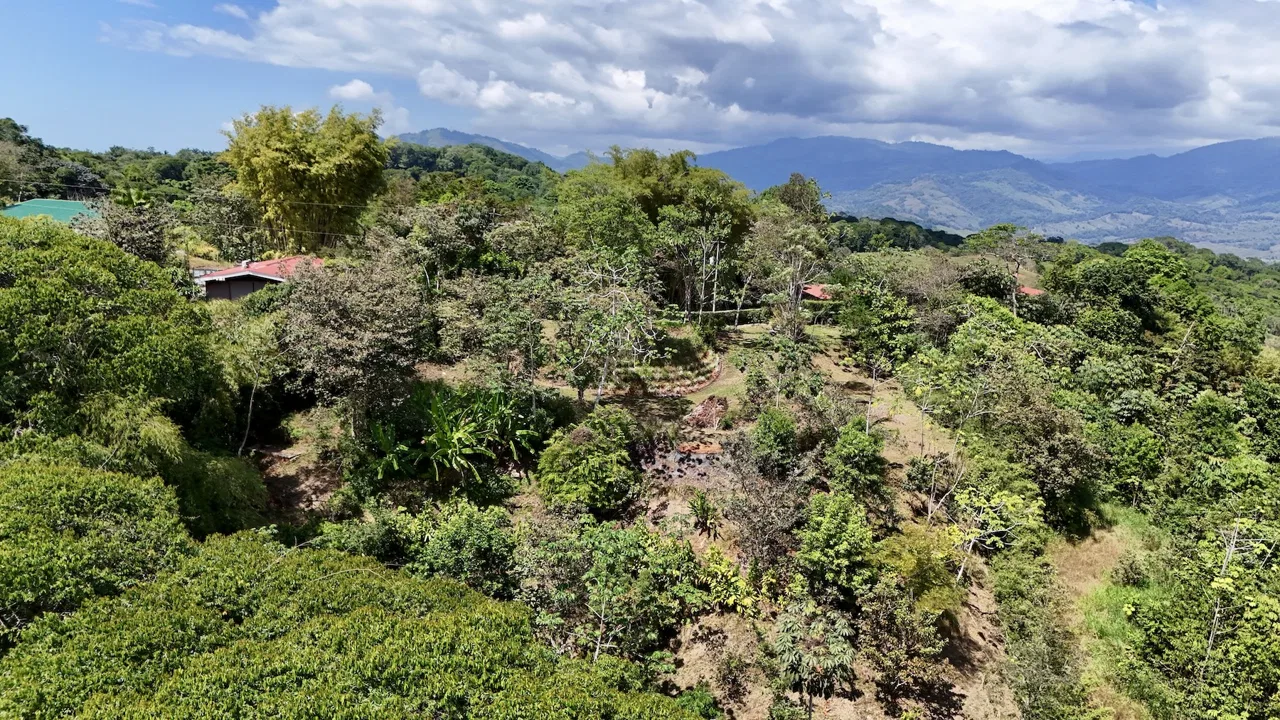 BUILDING PROPERTY WITH MOUNTAIN VIEWS, IN PLATANILLO – 1.34 ACRES, photo 5