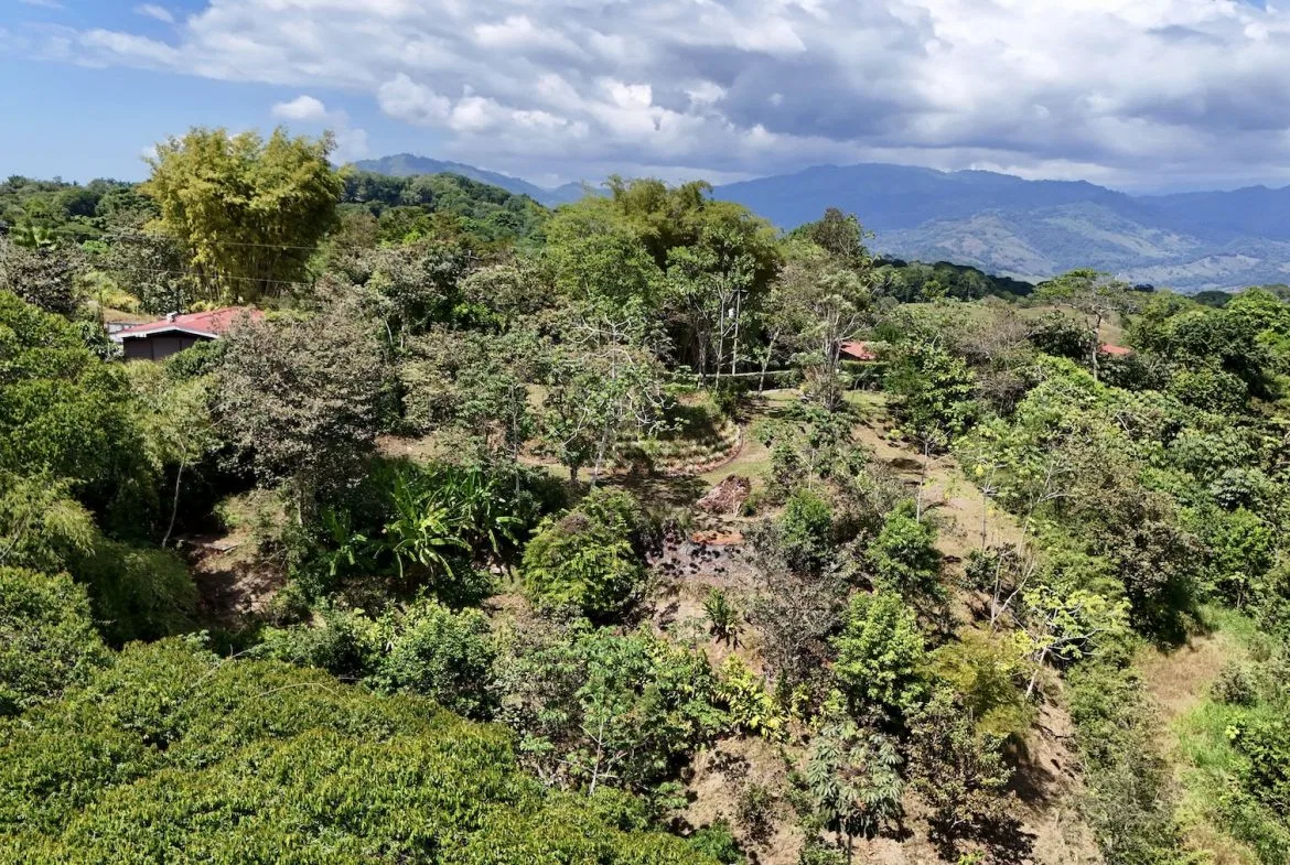 BUILDING PROPERTY WITH MOUNTAIN VIEWS, IN PLATANILLO – 1.34 ACRES, photo 6