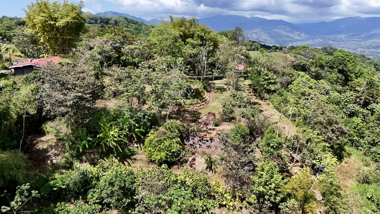 BUILDING PROPERTY WITH MOUNTAIN VIEWS, IN PLATANILLO – 1.34 ACRES, photo 7