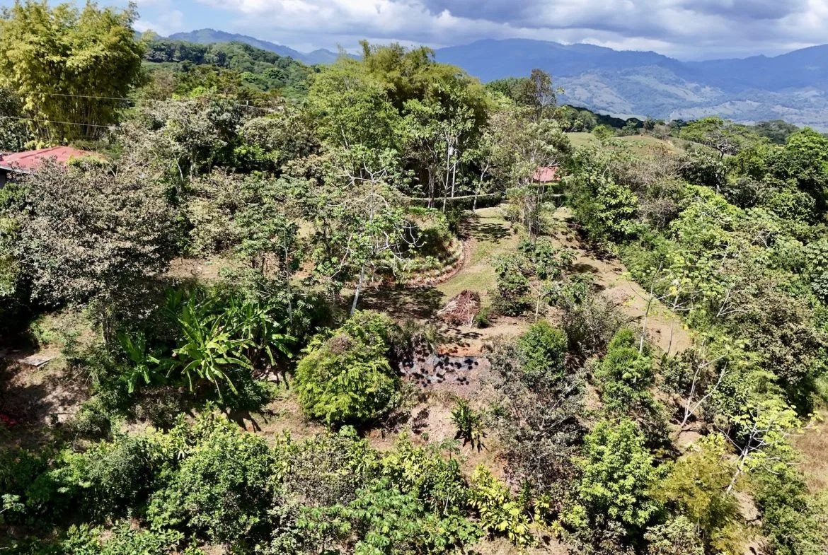 BUILDING PROPERTY WITH MOUNTAIN VIEWS, IN PLATANILLO – 1.34 ACRES, photo 8