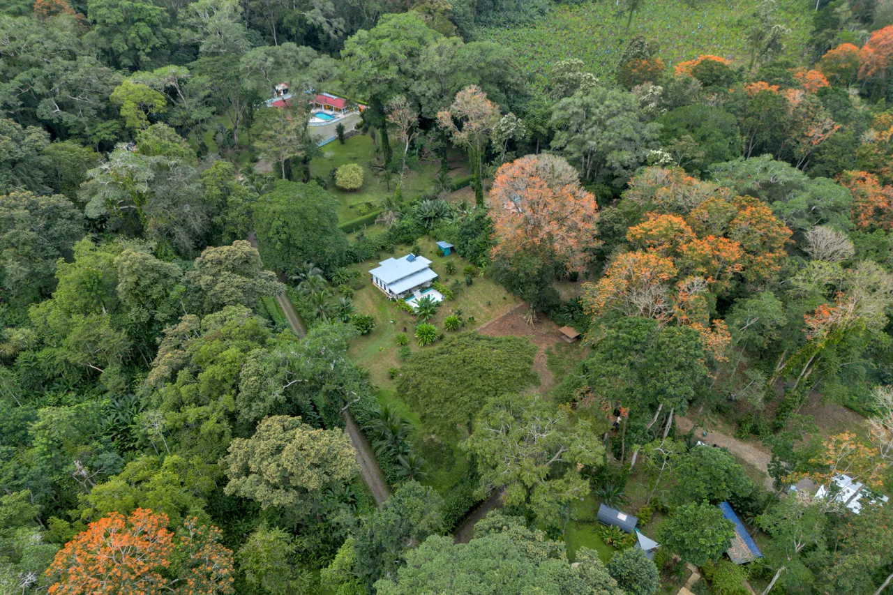 Dream Villa with Pool in Cahuita, Costa Rica, photo 7