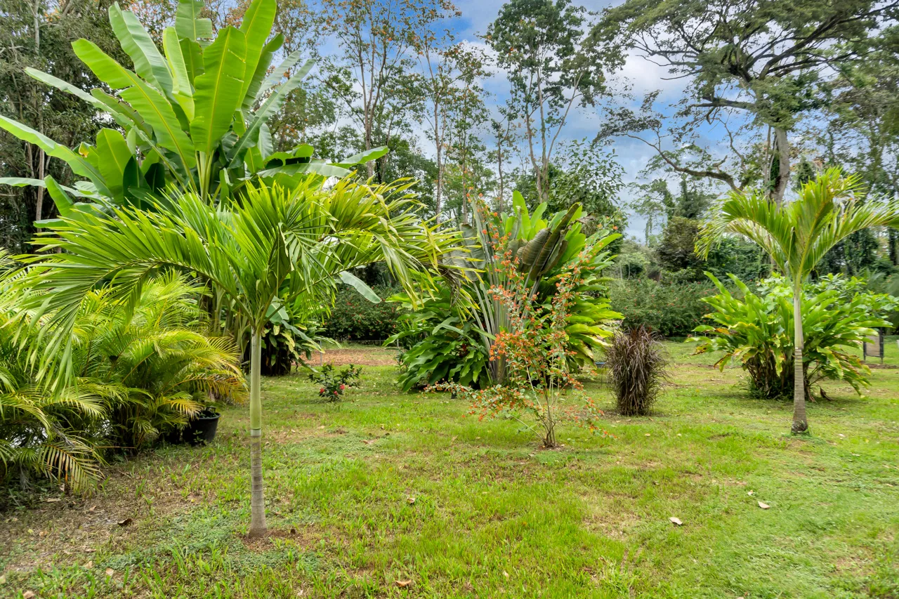 Dream Villa with Pool in Cahuita, Costa Rica, photo 9