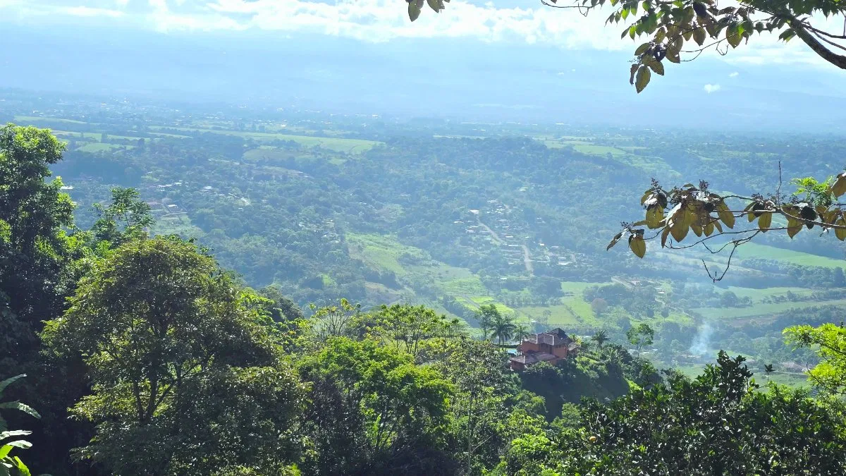 SE VENDE FINCA CON VISTAS PANORAMICAS E IDEAL PARA GLAMPING EN PEREZ ZELEDON - Venta en Pérez Zeledón, photo 11