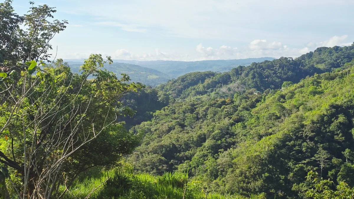 SE VENDE FINCA CON VISTAS PANORAMICAS E IDEAL PARA GLAMPING EN PEREZ ZELEDON - Venta en Pérez Zeledón, photo 12