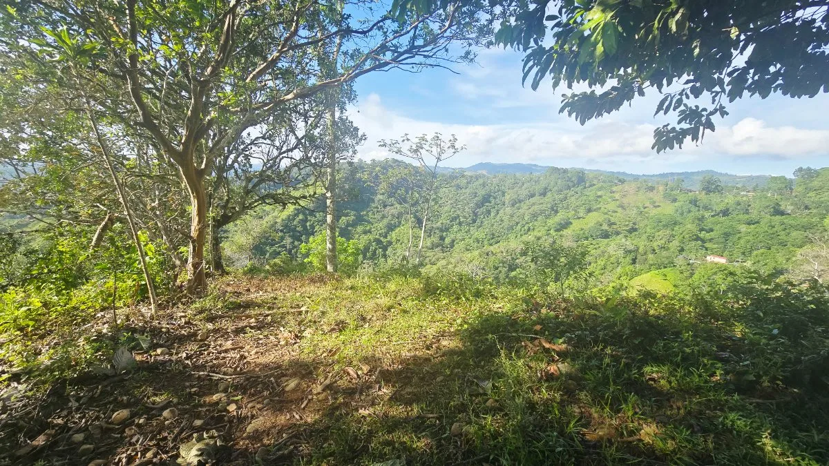 SE VENDE FINCA CON VISTAS PANORAMICAS E IDEAL PARA GLAMPING EN PEREZ ZELEDON - Venta en Pérez Zeledón, photo 13