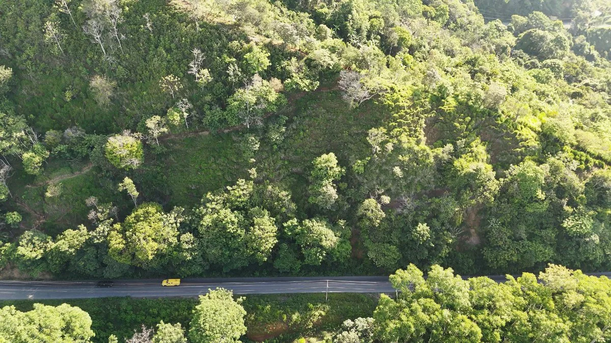 SE VENDE FINCA CON VISTAS PANORAMICAS E IDEAL PARA GLAMPING EN PEREZ ZELEDON - Venta en Pérez Zeledón, photo 15