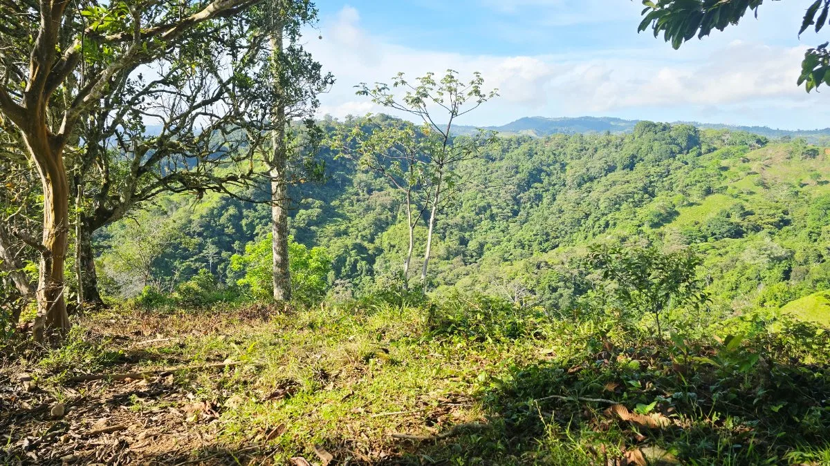 SE VENDE FINCA CON VISTAS PANORAMICAS E IDEAL PARA GLAMPING EN PEREZ ZELEDON - Venta en Pérez Zeledón, photo 16