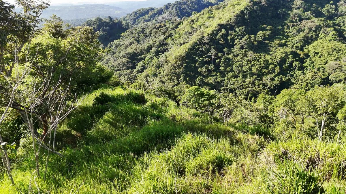 SE VENDE FINCA CON VISTAS PANORAMICAS E IDEAL PARA GLAMPING EN PEREZ ZELEDON - Venta en Pérez Zeledón, photo 19